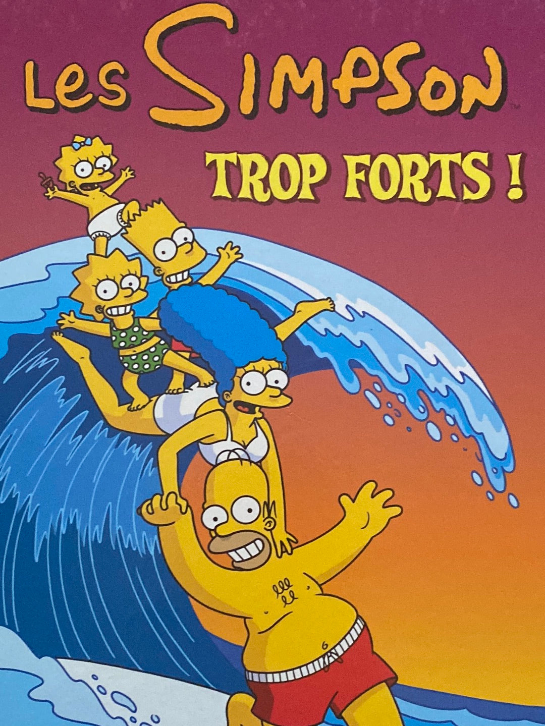 BD Les Simpson T6 - Groening
